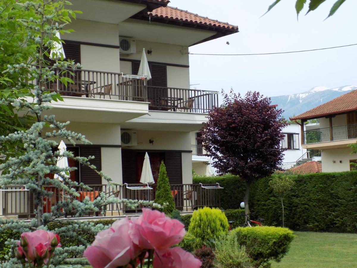 Appartement Alisachni à Paralia Panteleimonos Extérieur photo